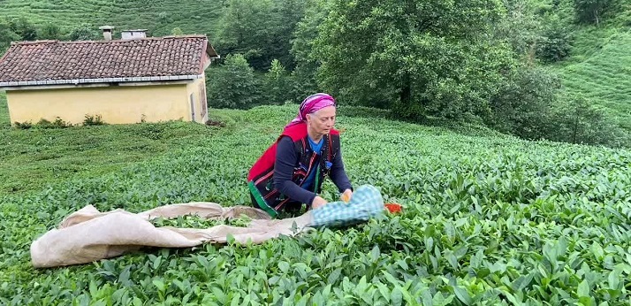  Suiçmez: “Bugün vatandaşımız 18 liraya, hatta 15 liraya çaylarını vermek zorunda kalıyor”