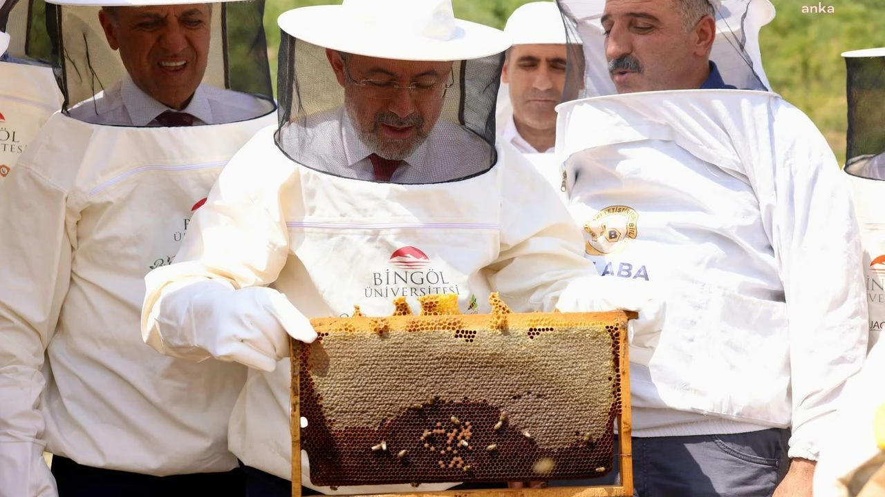 AB tescilli ilk Türk balının sağımı yapıldı