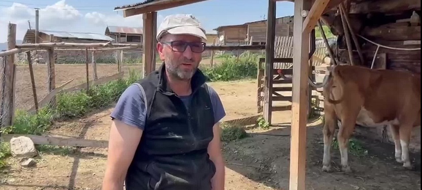 Artvin Şavşat’ta şap hastalığı yayılıyor: Üretici zor durumda