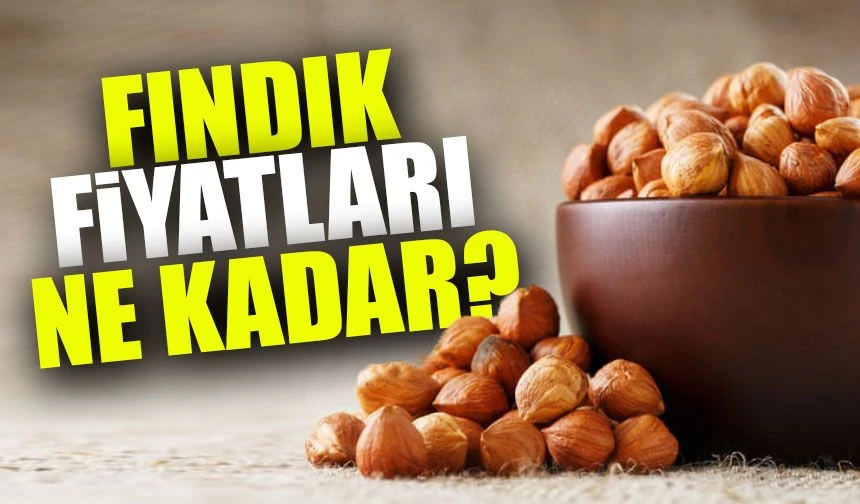 Fındık Fiyatlarında Sürpriz Sıçrama! Üretici 200 TL Taban Fiyat Bekliyor