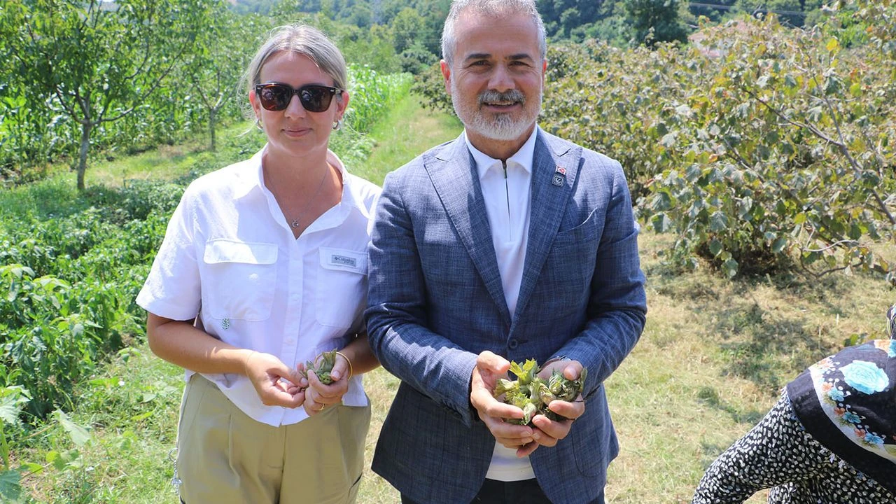 Yeniden Refah Partisi'nden Fındık İçin 250 TL Talebi: “Köylünün Kabusu Son Bulmalı”