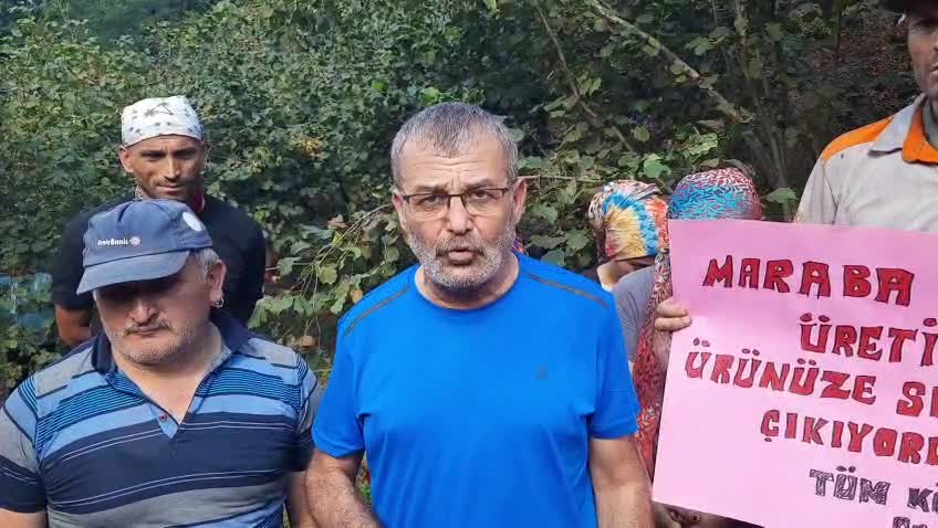 Tüm Köy Sen Ordu Şubesi: “Fındık fiyatı en az 300 TL olmalı”