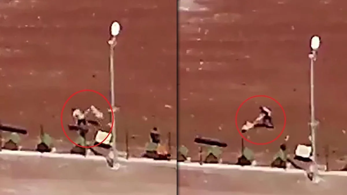 Kars’ta Barınakta Köpeklere İşkence İddiası: Valilik ve Belediye Soruşturma Başlattı