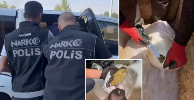 38 ilde eş zamanlı DEAŞ operasyonu! 161 şüpheli yakalandı
