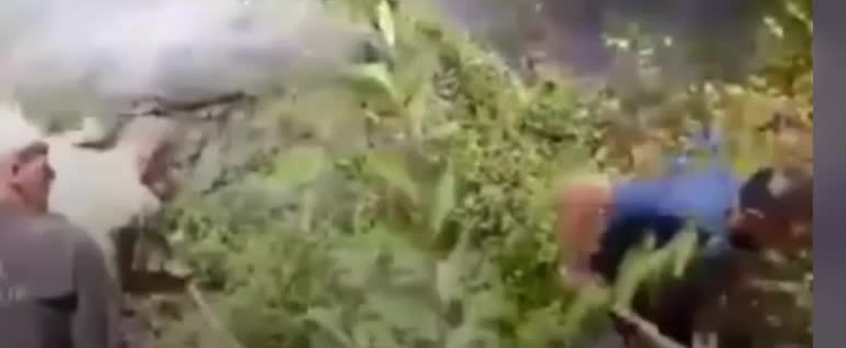 Sinop’un Durağan ilçesinde çıkan yangın kontrol altına alındı