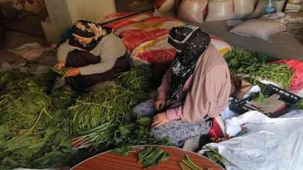 Bayburt’ta Kış Hazırlıkları Başladı: Konserve ve Turşu Mesaisi