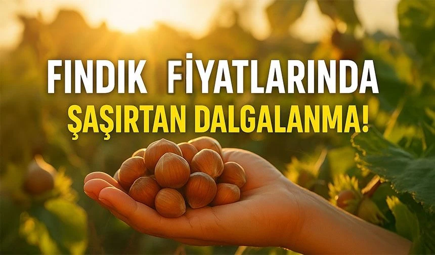 Fındık Fiyatları Zirveye Tırmanıyor: Hasat Piyasayı Hareketlendirdi
