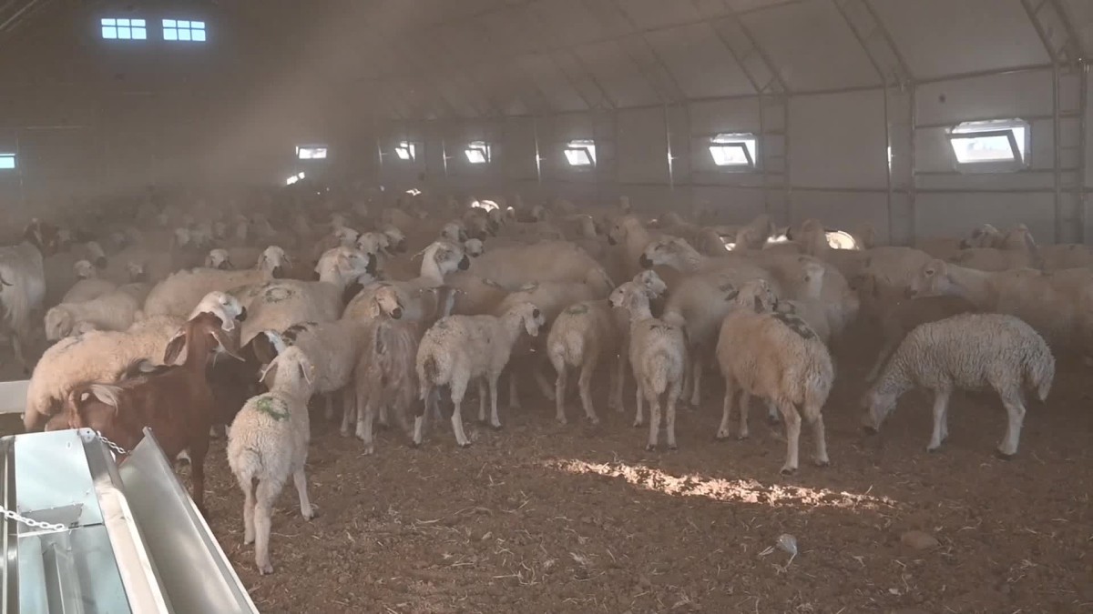 Yozgat’ta Besicilere Çadır Ağıl ve Ekipman Desteği