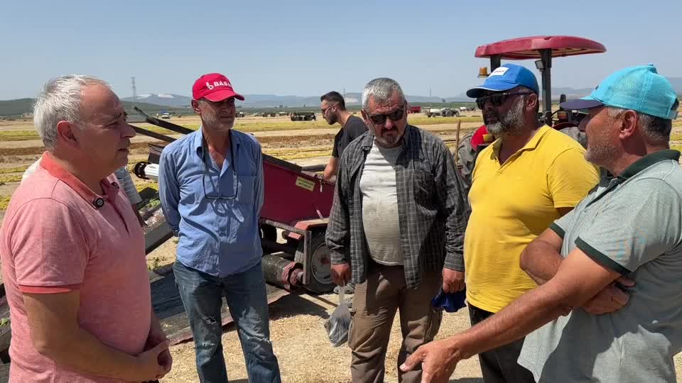 Üzüm üreticileri isyan etti: 
