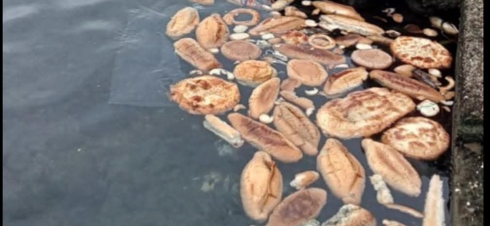 Rize’de Denize Dökülen Ekmek, Simit ve Mısır Ekmeği tepkilere neden oldu