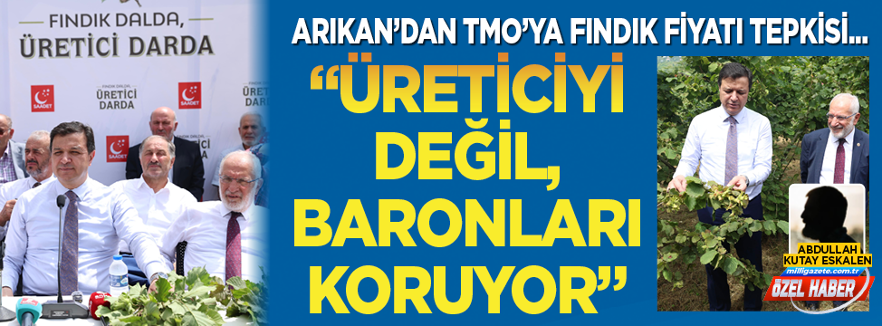 Mahmut Arıkan’dan TMO’ya fındık fiyatı tepkisi... Üreticiyi değil, baronları koruyor