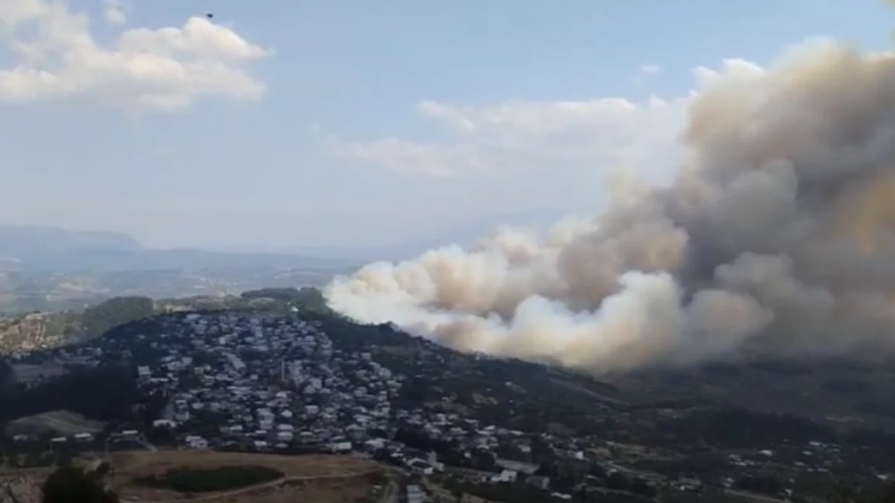 Bursa Gündoğdu'daki yangın kontrol altında