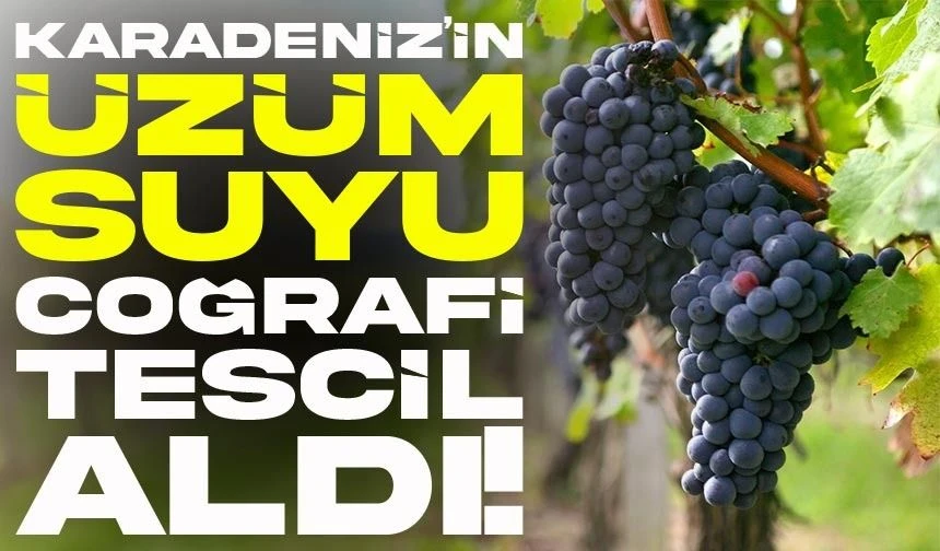 Ünye İzabella Üzüm Suyu Coğrafi İşaret Tescili Aldı!