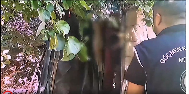 81 ilde 52 göçmen kaçakçısı yakalandı