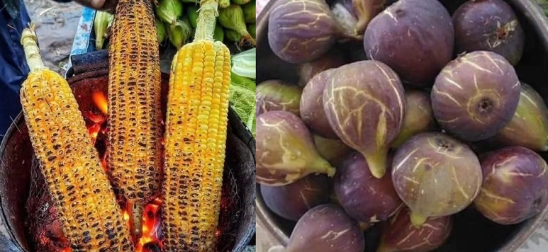 Her Şey Mevsiminde Güzel: Karadeniz’in Bereketli Eylül Ayı