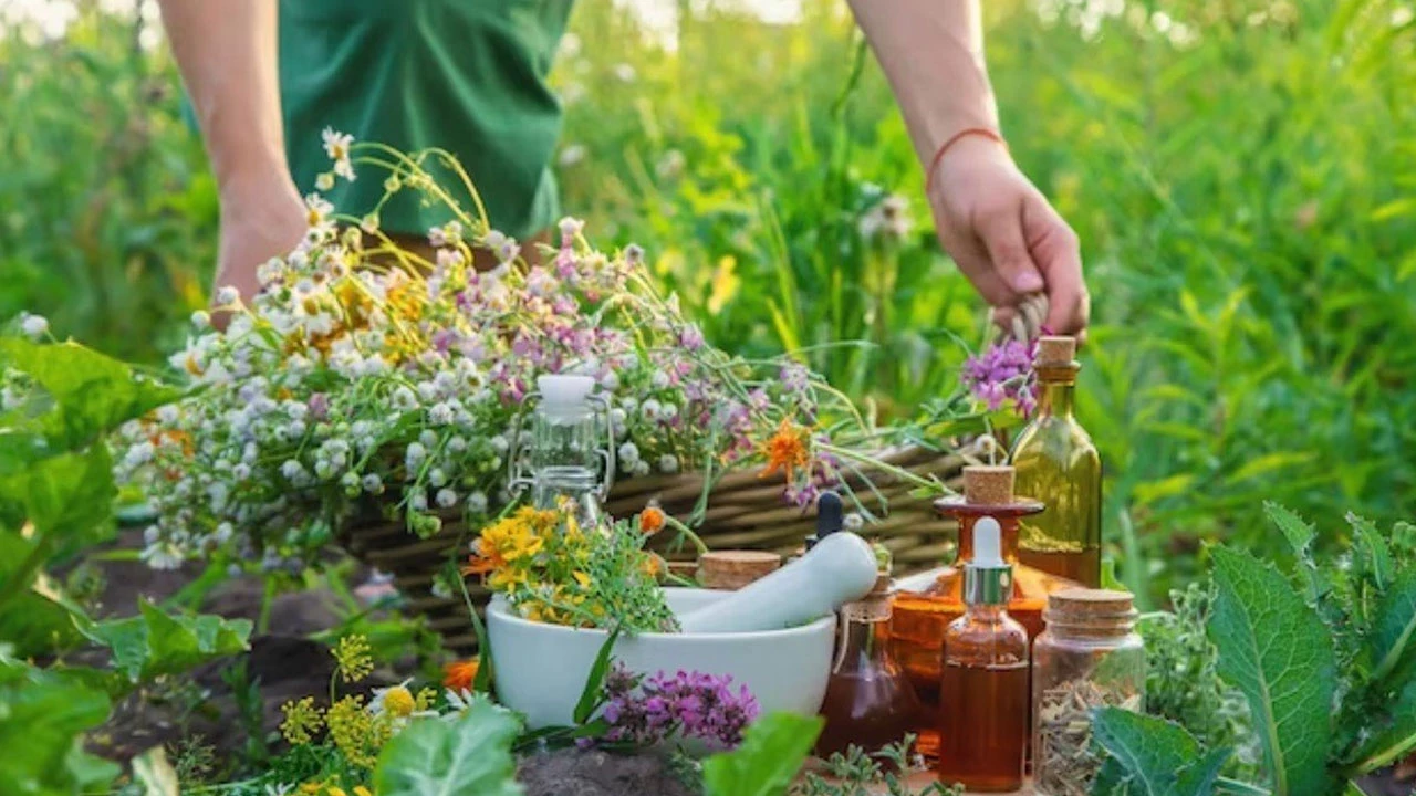 Ankara Büyükşehir’den tıbbi aromatik bitki yetiştiriciliği kursu