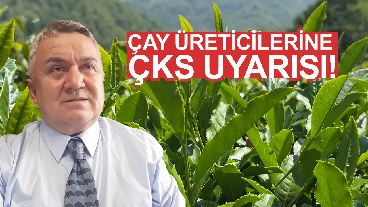 Küçükislamoğlu’ndan Çay Üreticilerine Uyarı: ÇKS Başvuruları İçin Son Gün 31 Aralık