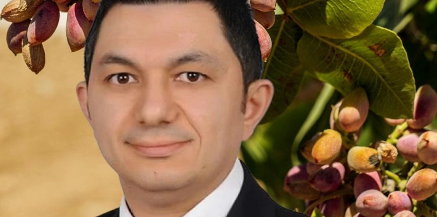 UKAB MYK Üyesi Büyükmurat: İthal fıstık çiftçiyi bitirir!