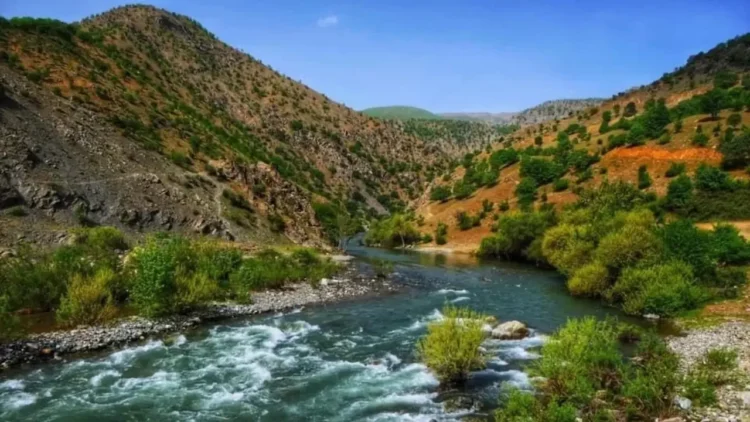 Dört Günlük Ekoloji Mücadelesi Bingöl’de Başlıyor: “Sarım’a ve Muş’a Ses, Doğaya Nefes Olun”