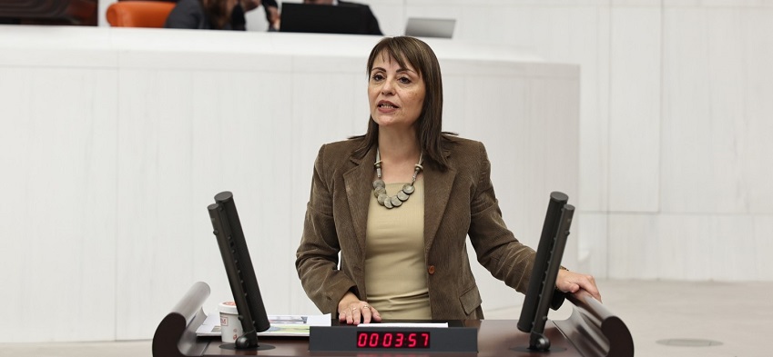 DEM Partili Kezban Konukçu’dan Mali Müşavirler İçin Soru Önergesi “Mali müşavirler ajan değil, meslek mensubudur”