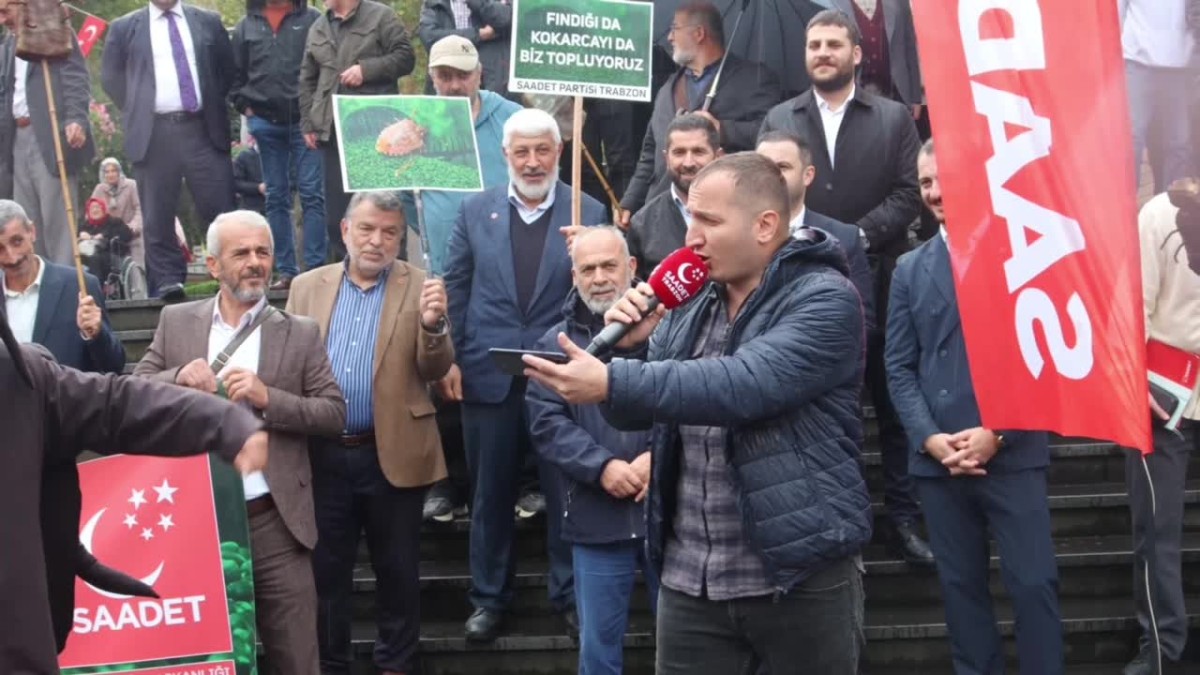 Saadet Partisi'nden, Trabzon'da Kokarca Yolu Festivali... 