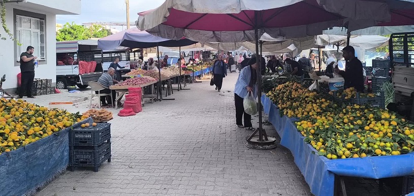 Pazarda çalışan üniversite öğrencisi: 