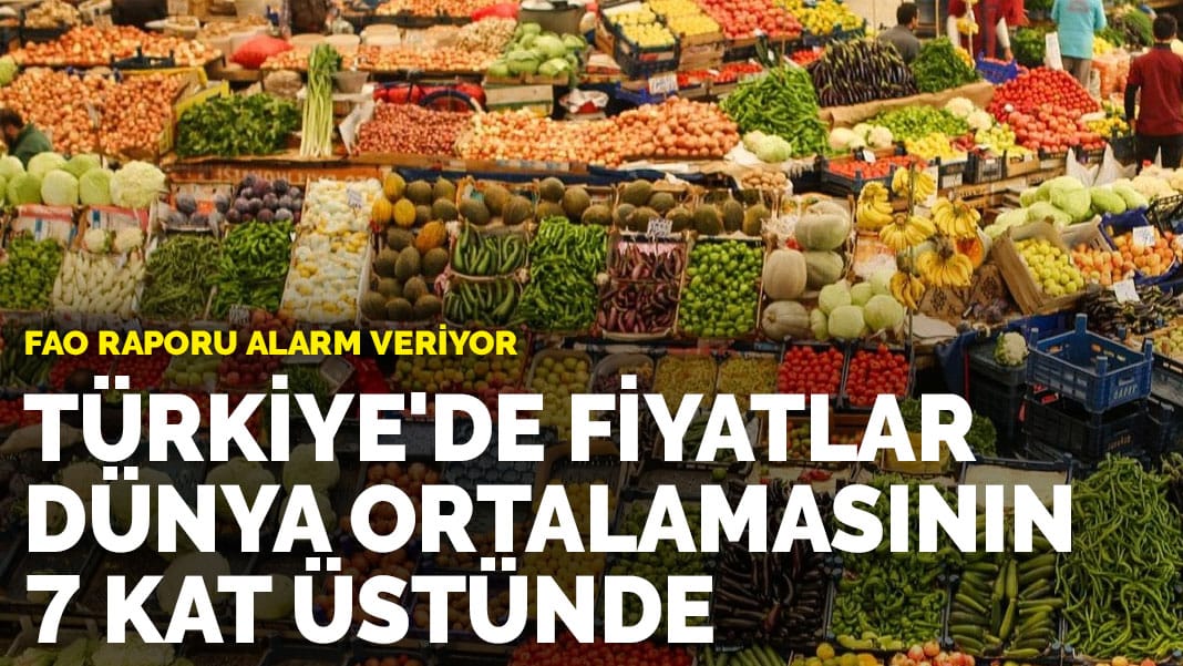 FAO raporu alarm veriyor: Türkiye'de fiyatlar dünya ortalamasının 7 kat üstünde