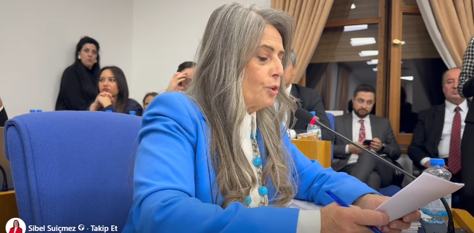 Sibel Suiçmez’den Aile Bakanlığı Bütçesine Tepki: “Kadına ve Çocuğa Bu Bütçeyle Hizmet Edemezsiniz”