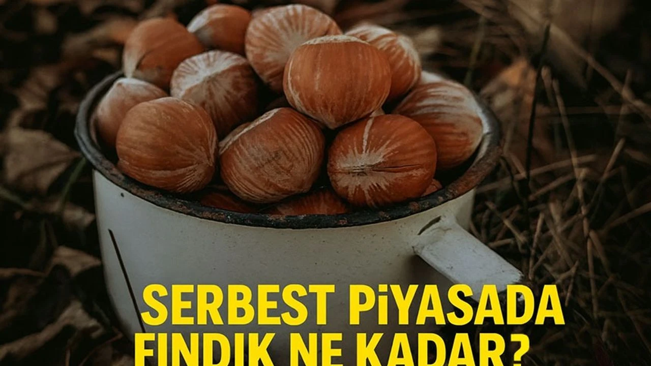 Fındık Fiyatları Bugün Kaç TL Oldu? Serbest Piyasada Fındık Ne Kadar Ediyor?