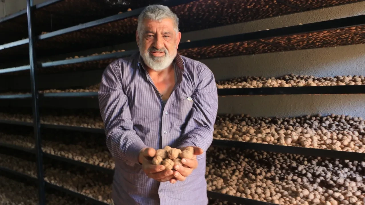 Avrupa’daki İşini Bıraktı, Asıl Kazancı Memleketinde Buldu