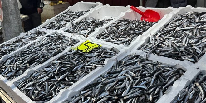 Hamside Bolluk Dönemi Bitti: Fiyatlar Üçe Katlandı
