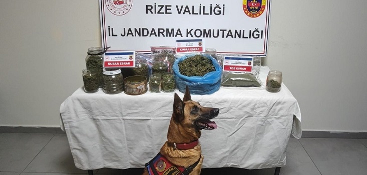 Rize’de Jandarmadan Uyuşturucu Operasyonu: 2,4 Kilo Kubar Esrar Ele Geçirildi