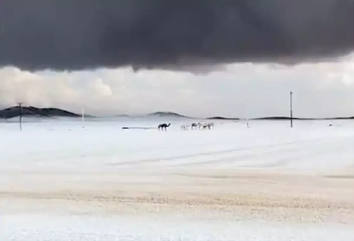 Arabistan'a kar yağdı mı? Arabistan'ın neresine kar yağdı, Kabe'ye Mekke'ye kar yağdı mı?
