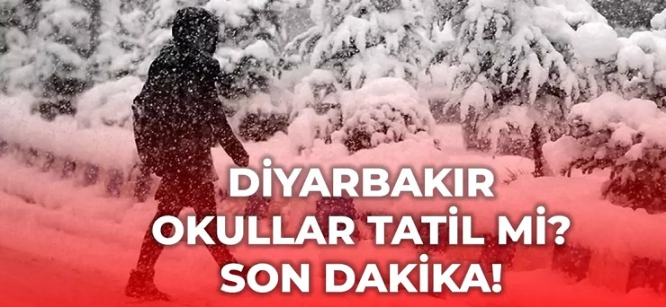 Diyarbakır okullar tatil mi, 5 Ocak Pazartesi Diyarbakır kar yağışı okullar tatil mi? Diyarbakır Valiliği kar tatili açıklaması!