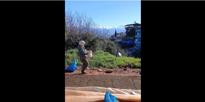 Aydın'da tütün üreticileri tepkili: 