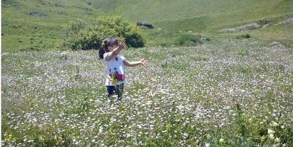 Cemre Düştü, Bahar Kapıda: Rize’de Doğa Uyanıyor