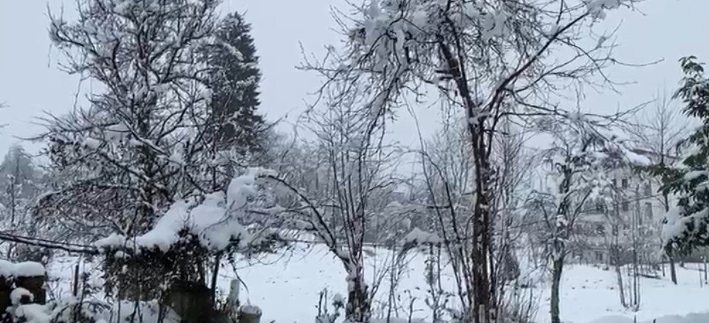 Rize’nin Yüksek Kesimleri Beyaza Büründü: Yaylalarda Kar Kalınlığı 85 Santimetreye Ulaştı