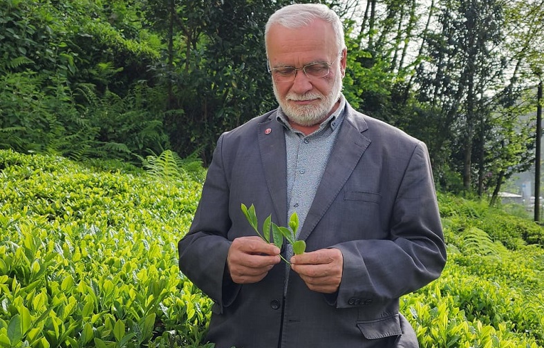 Rize Çay Sanayicileri Derneği’nden Çay Politikalarına Sert Eleştiri