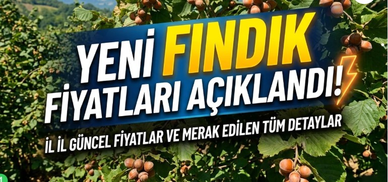 Fındık Fiyatlarında Denge Arayışı: 195–220 TL Bandı Öne Çıkıyor