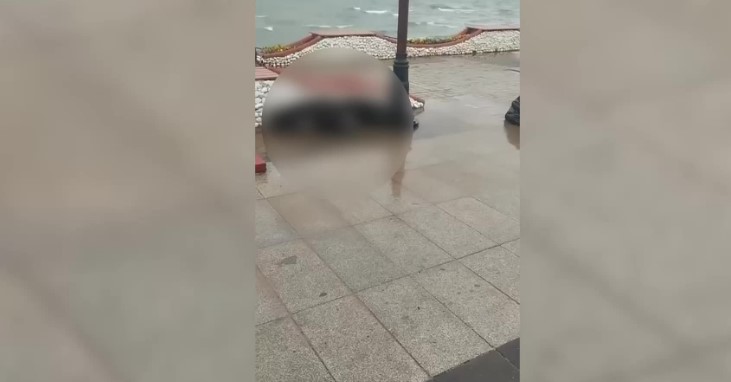 Didim Altınkum’da elektrik kaçağı bir köpeğin ölümüne neden oldu