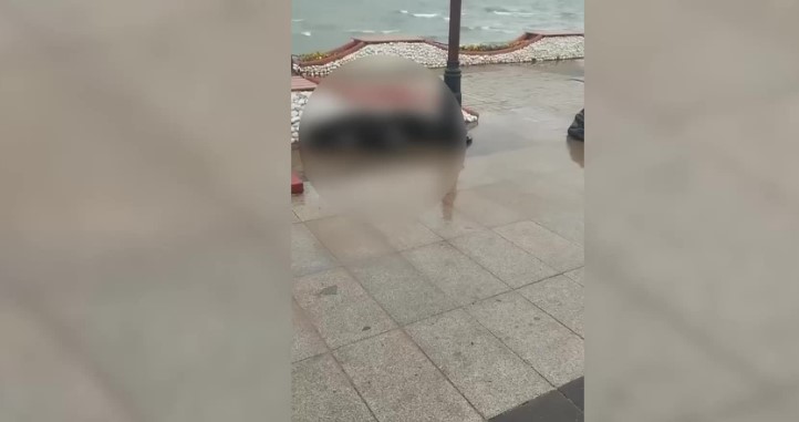 Didim Altınkum’da elektrik kaçağı bir köpeğin ölümüne neden oldu