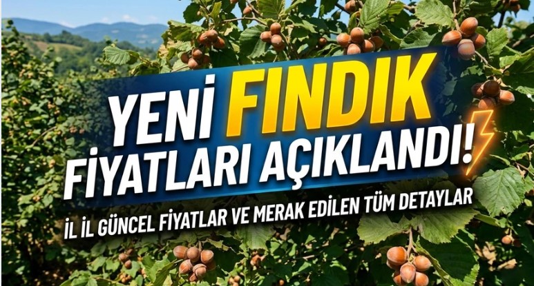 Fındık Fiyatları Bugün Ne Kadar: İl İl Güncel Liste Şaşırttı