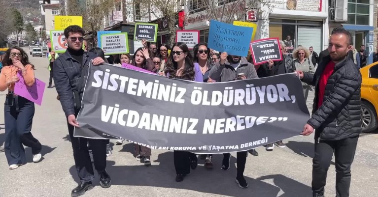 Dersim Hayvanları Koruma ve Yaşatma Derneği'nden barınak protestosu: “Bu bir ihmal değil, yok etme politikası