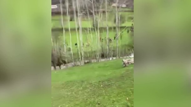 Hakkari’de kaybolan çocuğun cansız bedeni 4. günde bulundu