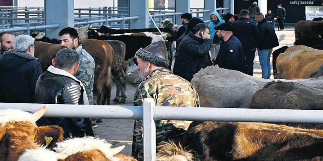 Kurbanlık fiyatı 25 bin liradan başlıyor