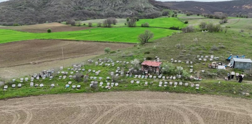 Yozgat’ta arıcılar verimli bir sezon bekliyor