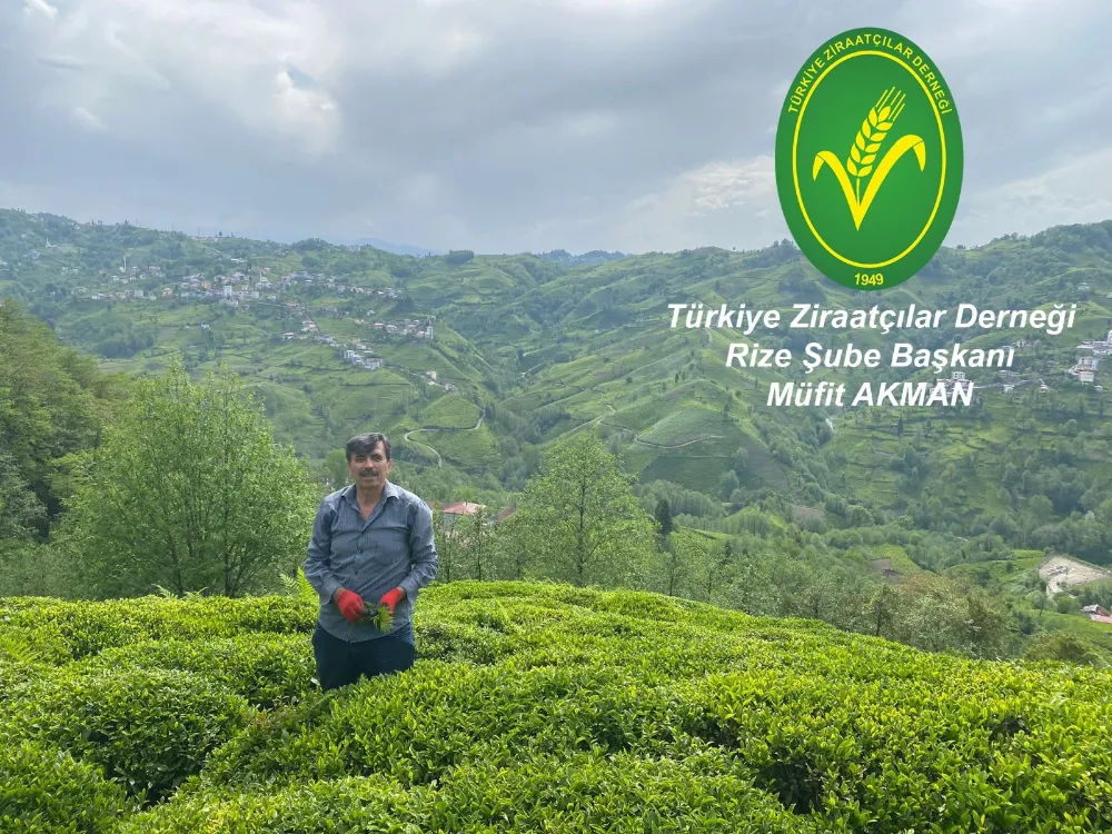 Dünya Çiftçiler Günü’nde Tarım ve Çay Sektörü Vurgusu