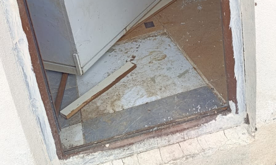 Boz Ayı Öldürme Cezası 130 Bin Lira