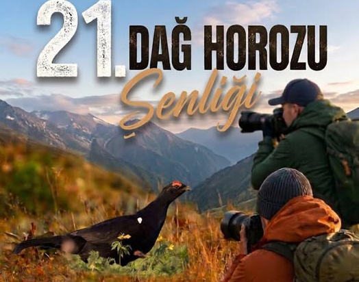 21.Dağ Horozu Şenliği 14 Haziranda