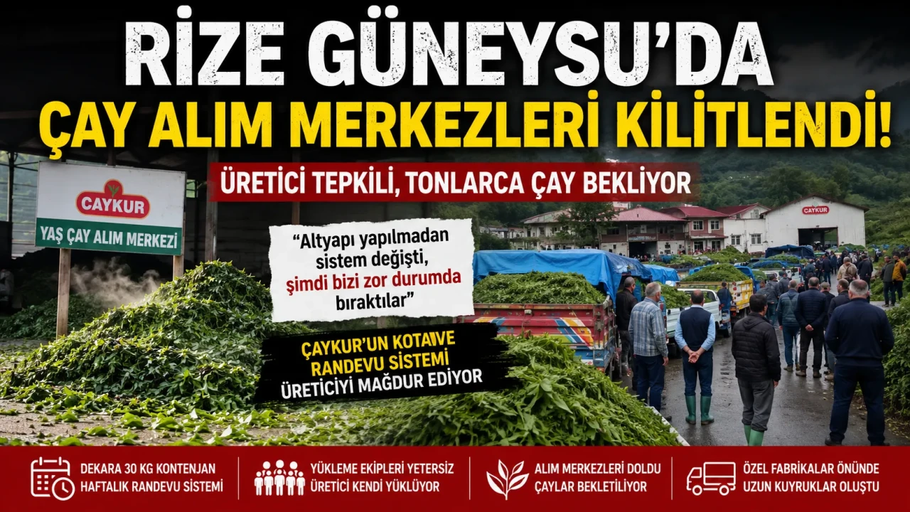Güneysu’da Yaş Çay Yoğunluğu: Alım Merkezlerinde Biriken Çay Üreticiyi Zorladı
